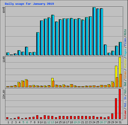 Daily usage for January 2019