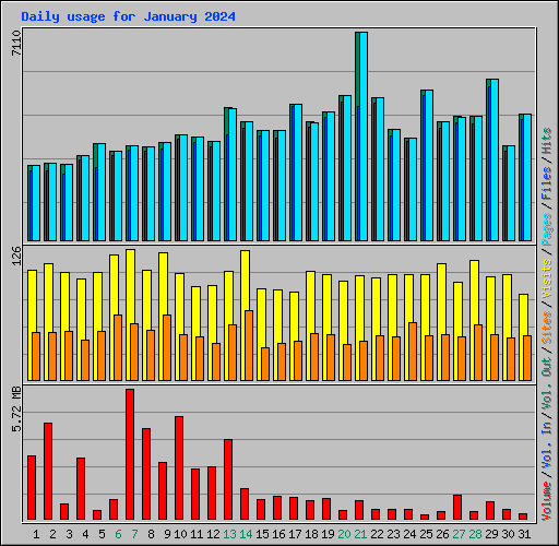 Daily usage for January 2024