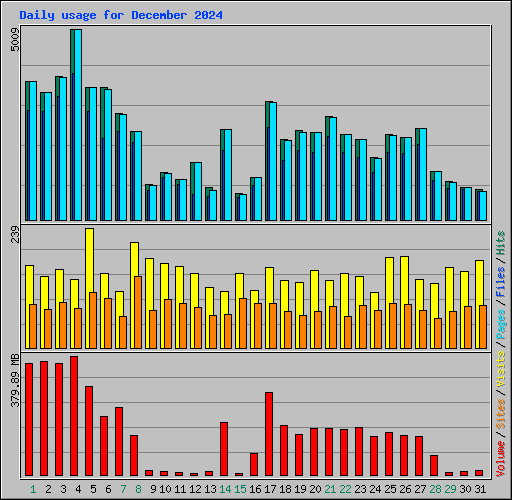 Daily usage for December 2024