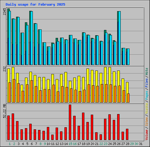 Daily usage for February 2025