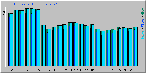 Hourly usage for June 2024