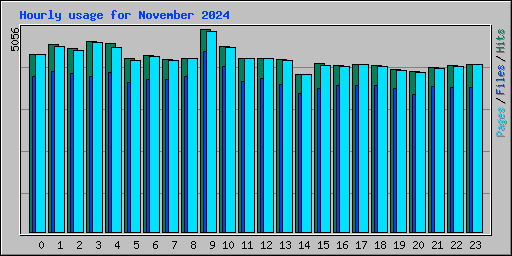 Hourly usage for November 2024