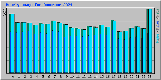 Hourly usage for December 2024
