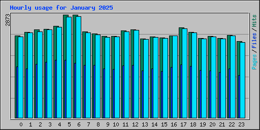 Hourly usage for January 2025