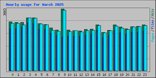 Hourly usage for March 2025