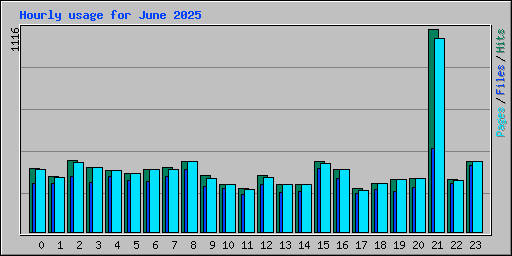 Hourly usage for June 2025