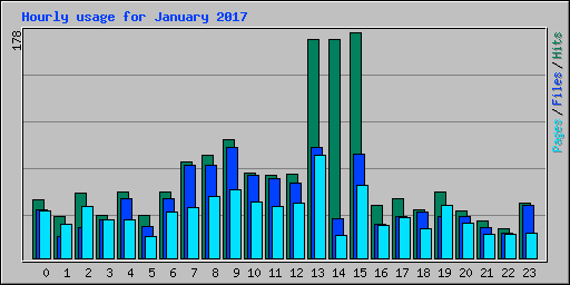 Hourly usage for January 2017