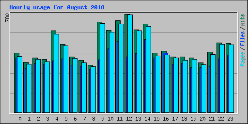 Hourly usage for August 2018