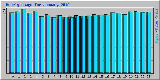 Hourly usage for January 2019