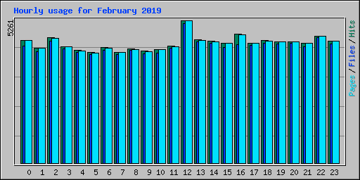 Hourly usage for February 2019