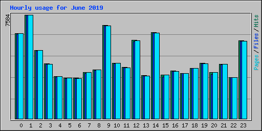 Hourly usage for June 2019