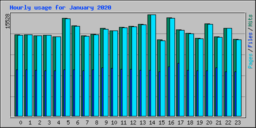 Hourly usage for January 2020