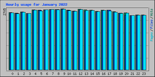Hourly usage for January 2022