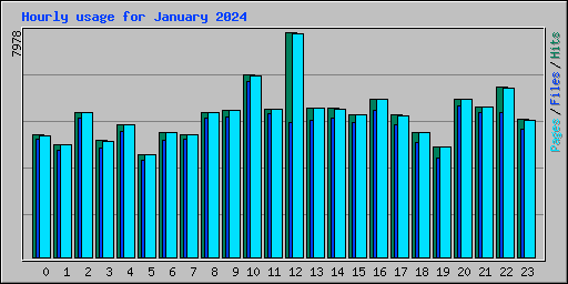 Hourly usage for January 2024