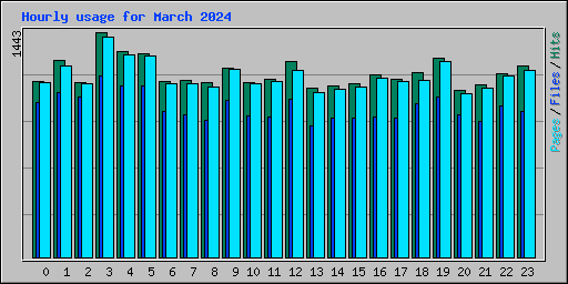 Hourly usage for March 2024