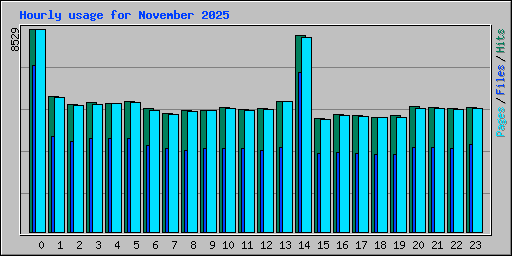 Hourly usage for November 2025
