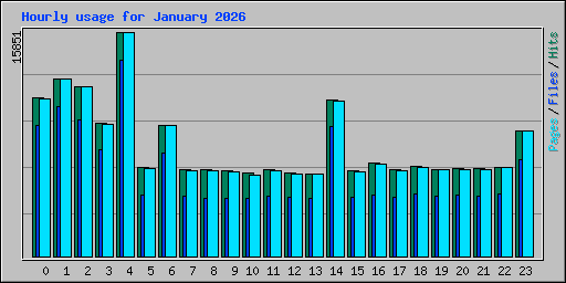 Hourly usage for January 2026