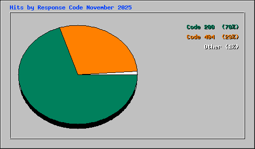 Hits by Response Code November 2025